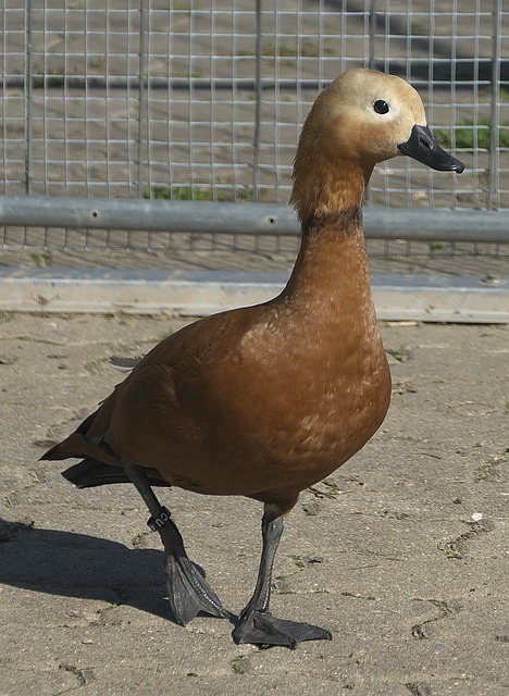 尤其是曾寄